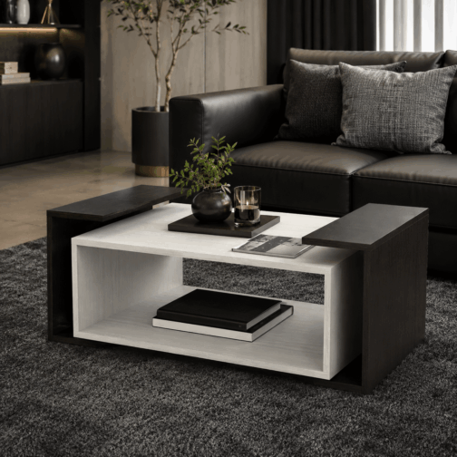 CENTRO LIVING CIEGA