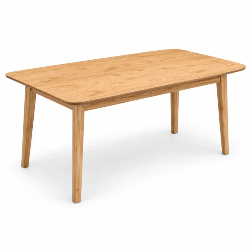 Mesa Comedor 3